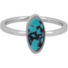 Charmin's Signet Ring with Oval Turqouise Gemstone Steel R1276