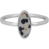 Charmin's Oval Signet Ring with Oval Dalmatian Jasper Gemstone Steel R1274