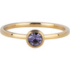 Charmin&#039;s Goudkleurige Ring Birthstone Februari Paars Lila Kristal Staal Iconic R1594