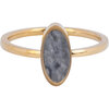 Charmin's Oval Gold-Colored Signet Ring with Oval Moss Agate Gemstone Steel R1212