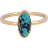 Charmin's Signet Ring with Oval Turqouise Gemstone Gold Steel R1210