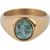 Charmin's Goudkleurige Zegelring met Bolle Ovale Mosagaat Edelsteen Staal R1272