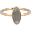 Charmin's Gold-Colored Oval Signet Ring with Moonstone Gemstone Steel R1215