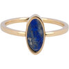 Charmin's Gold-colored Oval Signet Ring with Oval Lapis Lazuli Gemstone Steel R1214