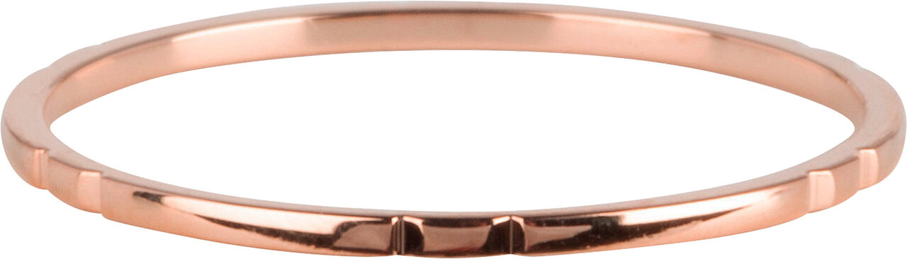 R810 Small Basics 6 engravings Rose Gold