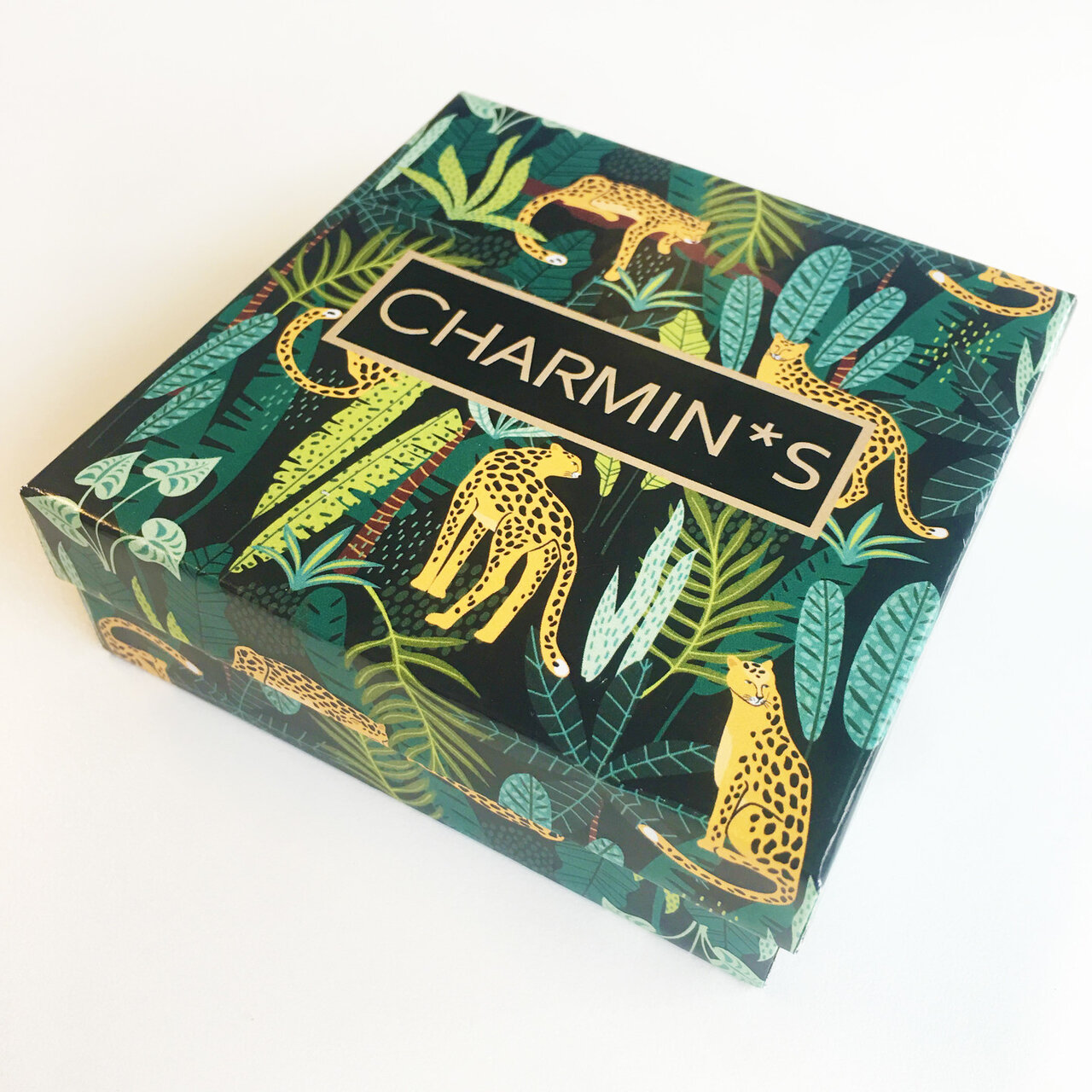 Charmin's Smalle Display Eco Karton 24 Ringen 5534