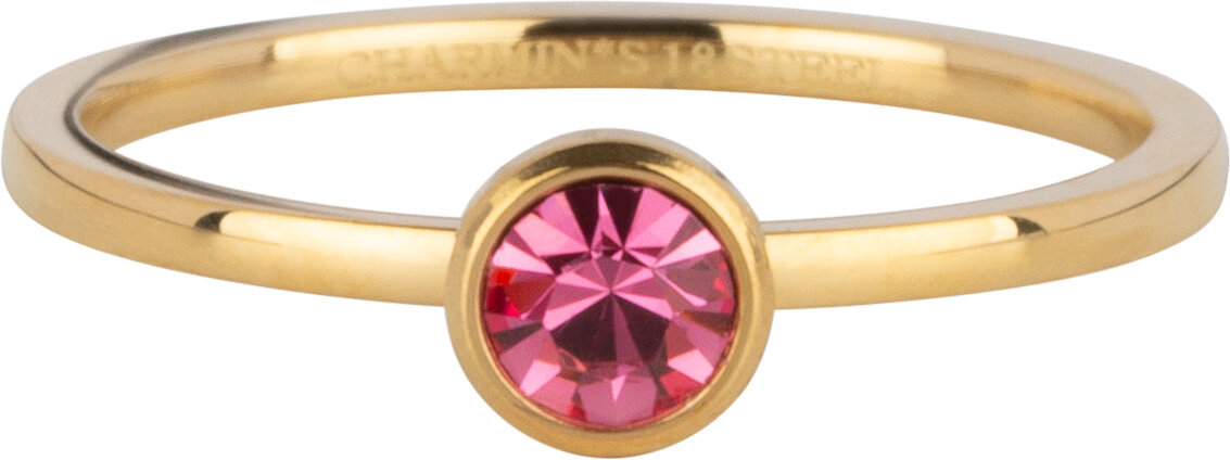 Charmin's Goudkleurige Ring Birthstone October Opaal/ Tourmaline Staal Iconic R1606