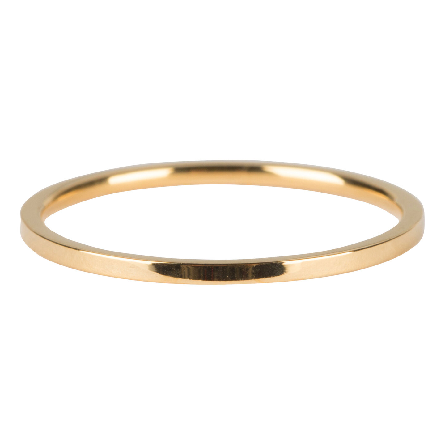 R693 Basic Petite Gold Steel
