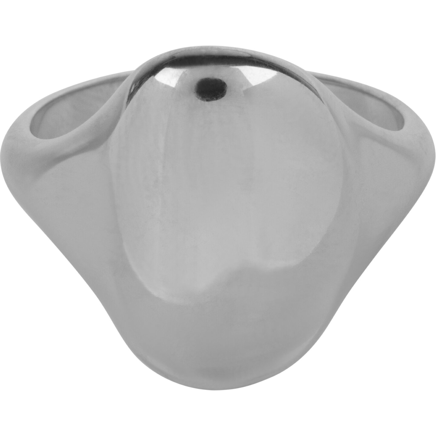 Charmin&lsquo;s gro&szlig;er organischer Siegelring Stahl R1149 &ndash; Bequemer Hingucker