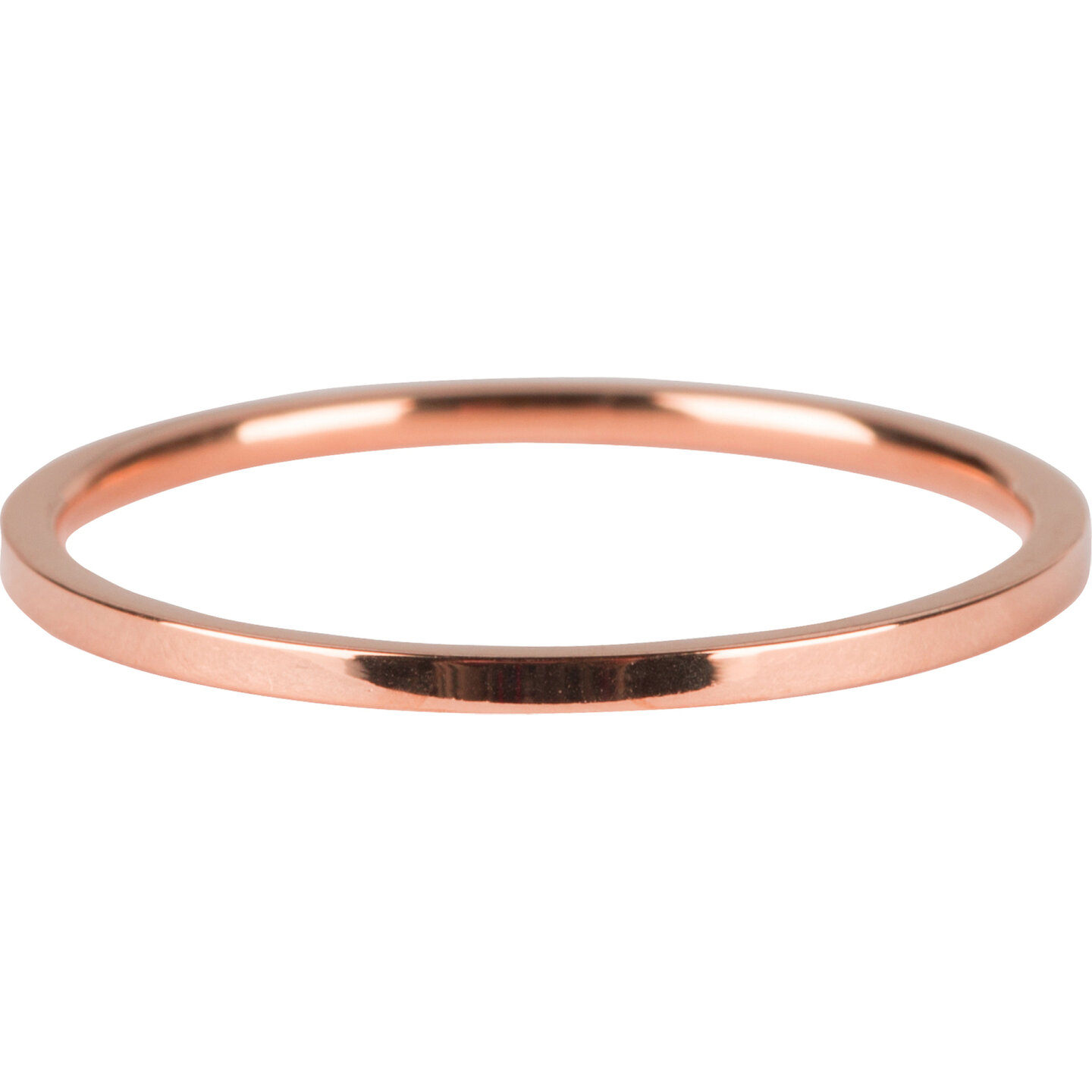 R694 Basic Petite Rose Gold Steel