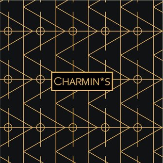 Charmin's Voorraadbox Display vierkant FineLines