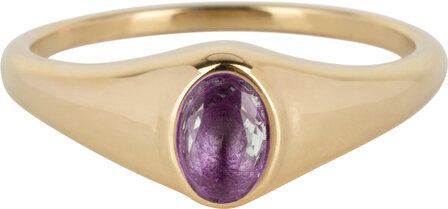 Charmin&rsquo;s R1084 Birthstone zegelring Februari Purple Amethyst Oval Stone Goldplated