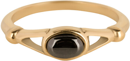 Charmin&#039;s Oval Elegant Ring with Black Gemstone Goud R1158