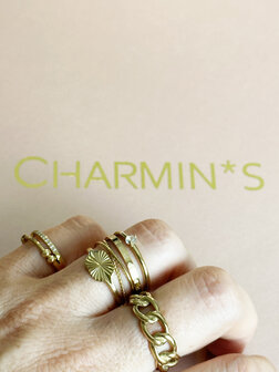 Charmin&#039;s Winter Ringen 168 Ringen (42 modellen in 4 maten Easy Order) 