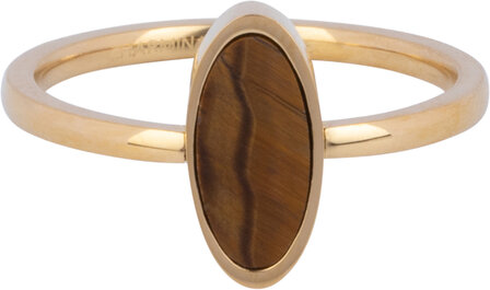 Charmin&#039;s Gold-colored Oval Signet Ring with Oval Tiger Eye Gemstone Steel R1211
