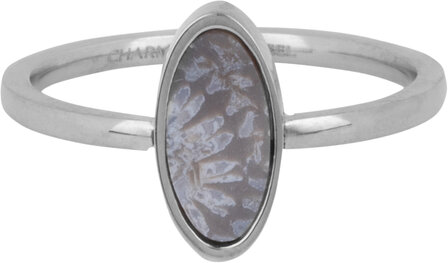 Charmin&#039;s Oval Signet Ring with Oval Coral Fossil Gemstone Steel R1275