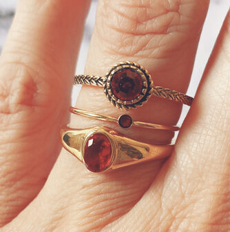 Charmin&#039;s Ring Birthstone Januari Garnet Rode Kristal Staal Iconic Vintage R1521