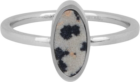 Chevali&egrave;re ovale de Charmin avec pierre pr&eacute;cieuse ovale en jaspe dalmatien en acier R1274