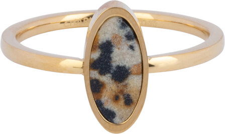Charmin&#039;s Gold-colored Oval Signet Ring with Dalmatian Jasper Gemstone Steel R1208