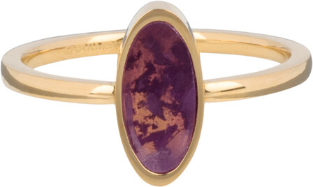Charmin&#039;s Gold-colored Oval Signet Ring with Amethyst Gemstone Steel R1219