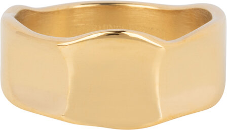 Charmin&#039;s Gold Colored Wide Modern Fantasy Ring Steel R1391