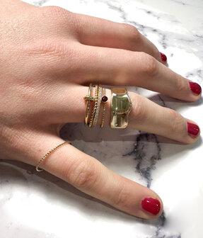 Charmin&#039;s Goldfarbener breiter moderner Fantasy-Ring aus Stahl R1391