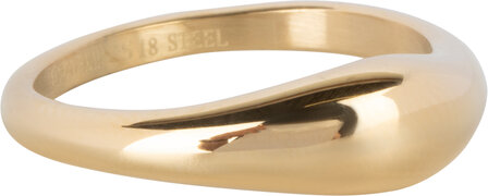 Charmin&#039;s Goudkleurige Moderne Asymmetrische Zegelring Ovaal Staal R1369