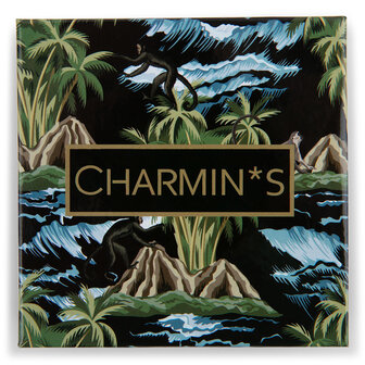 Charmin&#039;s Narrow Display Eco Carton 4 Anneaux 5537