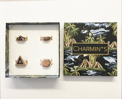 Charmin&#039;s schmales Display aus &Ouml;ko-Karton, 4 Ringe, 5537