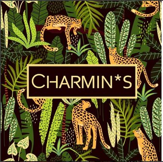 Charmin&#039;s Giftbox Tiger