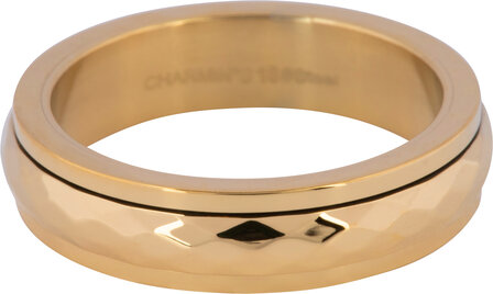 Charmin&#039;s Shiny Anxiety Fidget Ring Gehamerd Goud R1251