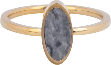 Charmin&#039;s Oval Gold-Colored Signet Ring with Oval Moss Agate Gemstone Steel R1212