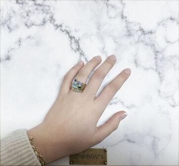 Charmin&#039;s Ring met Lichtblauwe Topaas Hartsteen Staal R1571 &ndash; Birthstone Maart