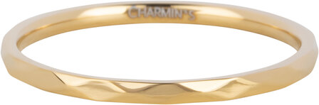 Charmin&rsquo;s goudkleurig stapelring R1556 Marker goldplated staal