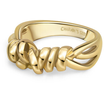 Charmin&#039;s Goudkleurige Chunky Ring met Drie Lijnen Wikkelen Zich Speels om de Ring R1844. 