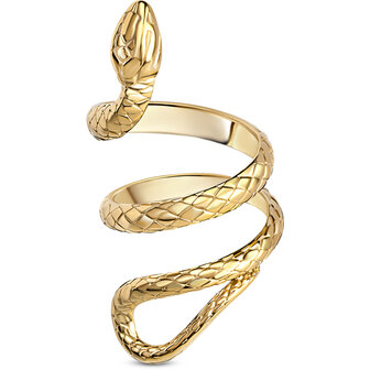 Charmin&#039;s Goudkleurige Chunky Ring Als een Slang R1848 &ndash; Groot en Krachtig.