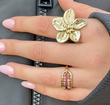 Charmin&#039;s Anxiety Ring Twee Rijen NaturalStones Rhodoniet Beads Goudkleurig R1670