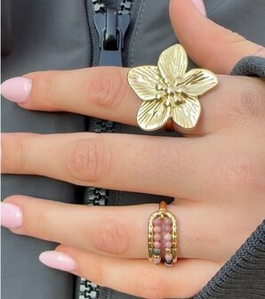 Charmin&#039;s Anxiety Ring Twee Rijen NaturalStones Rhodoniet Beads Goudkleurig R1670