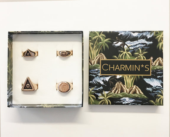 5537 Charmin's Gift Box/ Display