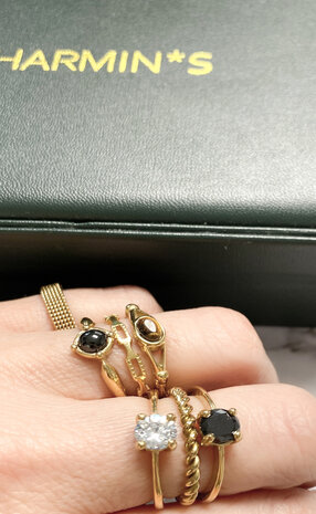 Charmin’s Classic Princess Black Ring Goud R1195