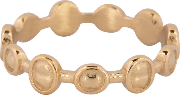 Charmin's Ring Matte and Shiny Rounds and Ovals Gold Steel R1237