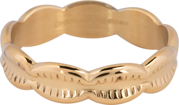 Charmins Ring Kaurimuscheln Muscheln Gold Steel R1247