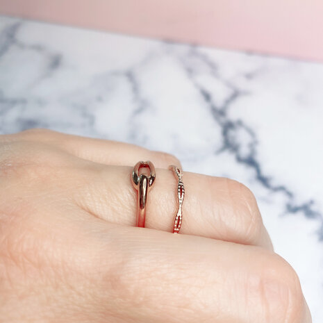 Charmin's Ring Single Knot Steel R0883