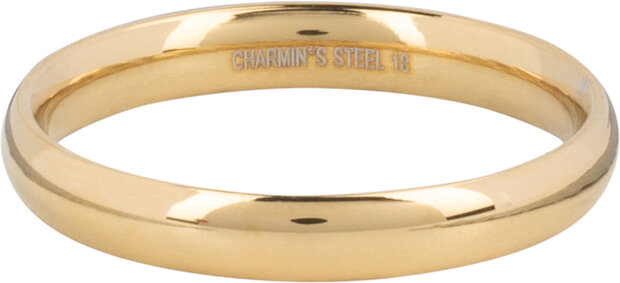 Charmin's Ring Gold Rond Large 3,1 MM R1469