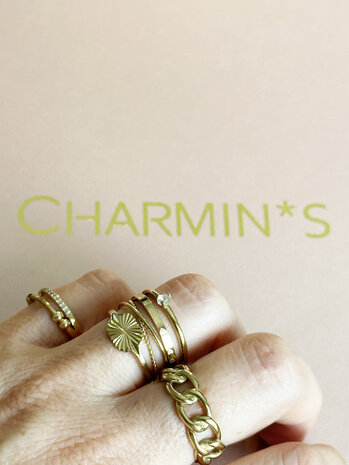 Charmin's Alliance Ring mit Kugeln Anxiety Fidget Steel R1366