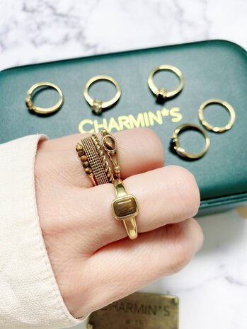 Charmin's Gold-Colored Twisted Ring Steel 2mm R1008