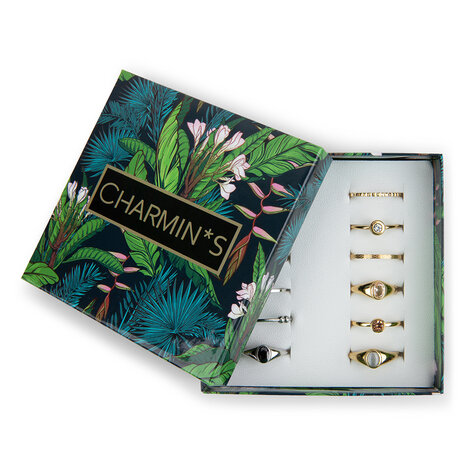 Charmin's Smalle Display Eco Karton 12 Ringen 5535