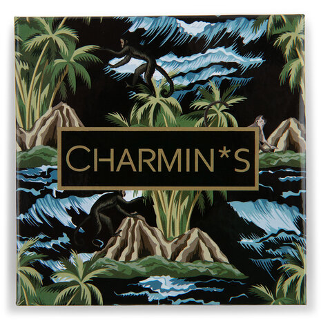 Charmin's Narrow Display Eco Carton 4 Anneaux 5537
