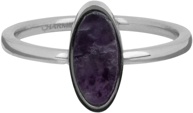 Charmins ovaler Siegelring mit Amethyst-Edelstein, Stahl R1285l R1219