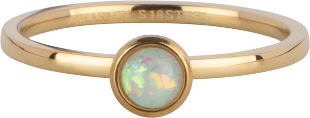 Charmin's Gold Ring Birthstone October Opal/ Tourmaline Steel Iconic R1606